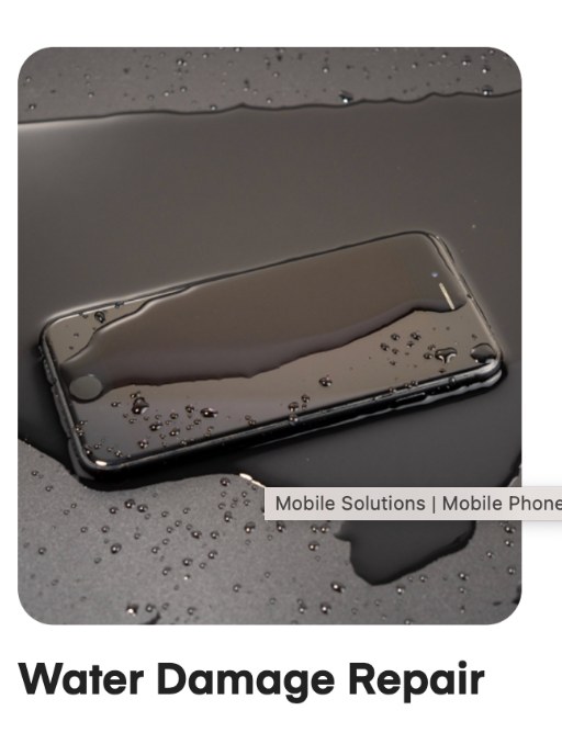 Professional water damage repair service